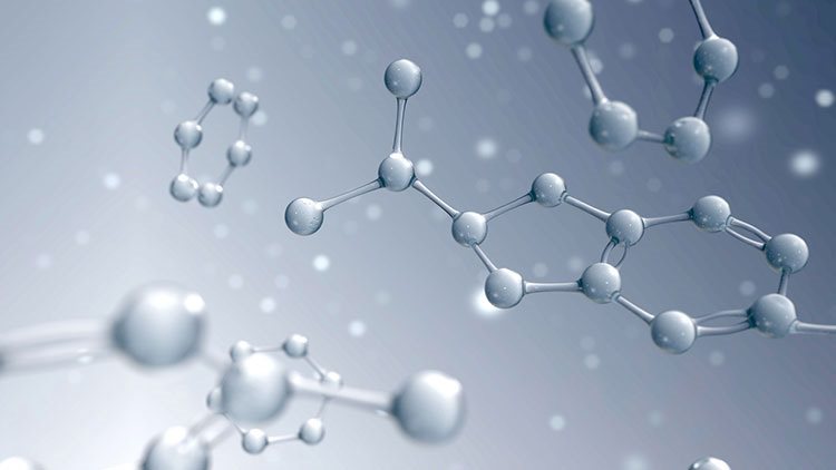 homeostasis.jpg__PID:ccbf5287-fb5d-4ae0-a4d6-44ca2cb67816
