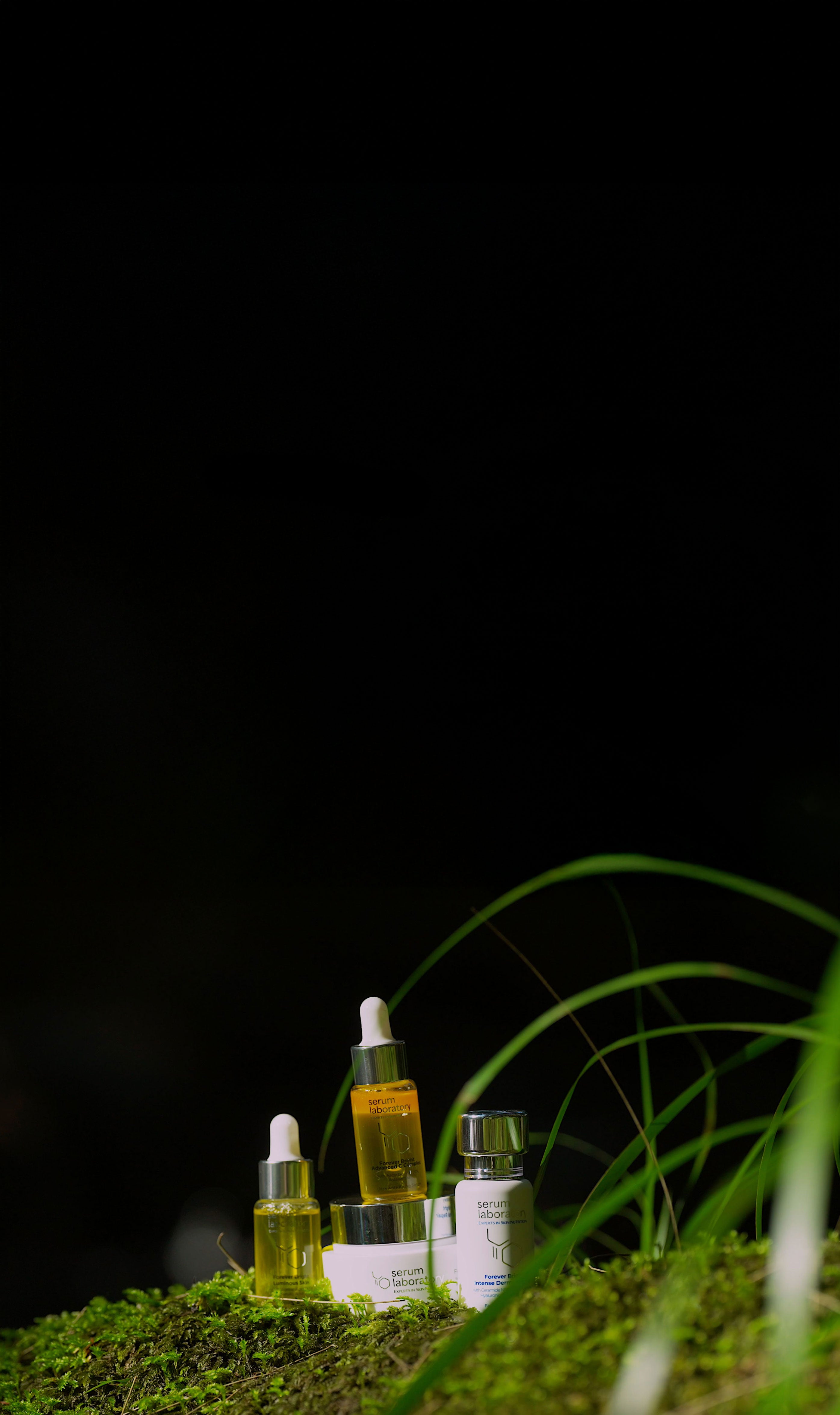 Mobile Background Image